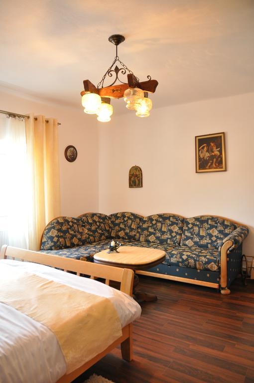 Home Tara Haţeg Cameră foto